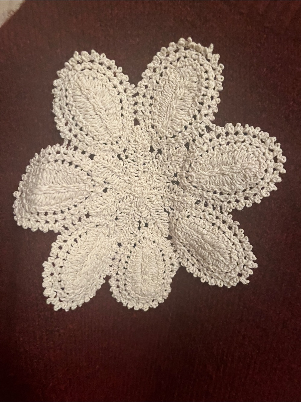 Papillon Burgundy Sweater - Picture 4 of 11